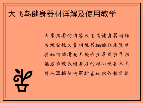 大飞鸟健身器材详解及使用教学