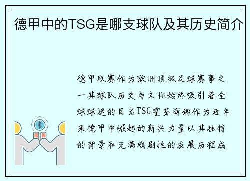 德甲中的TSG是哪支球队及其历史简介