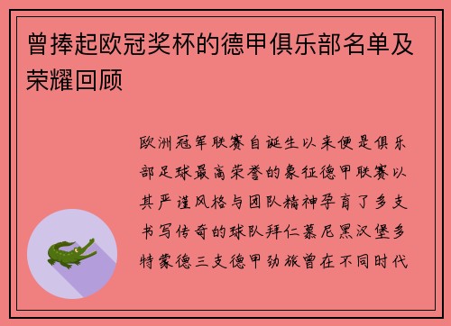 曾捧起欧冠奖杯的德甲俱乐部名单及荣耀回顾